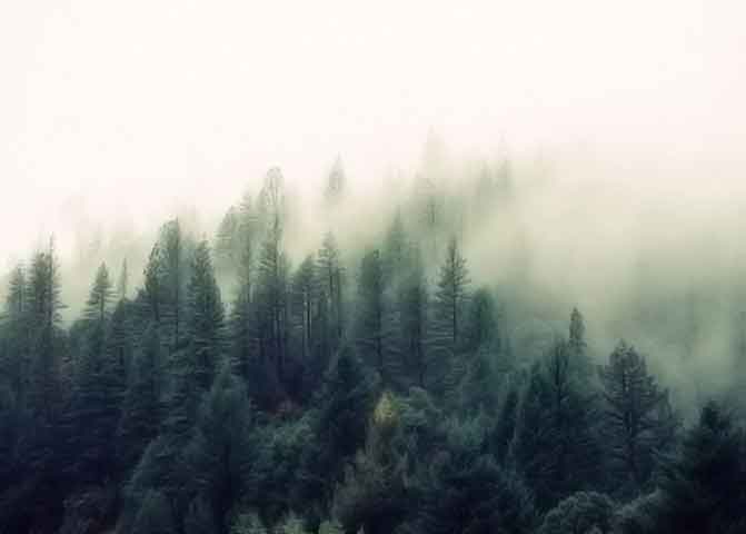 网页在线DDOS压力测试